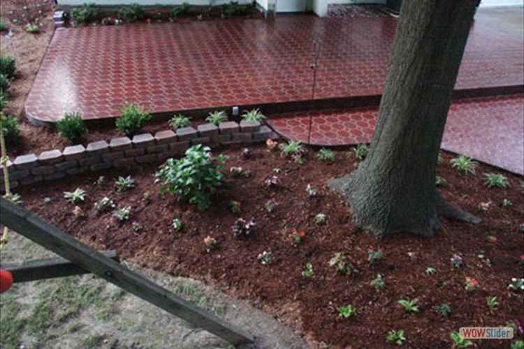 patio6